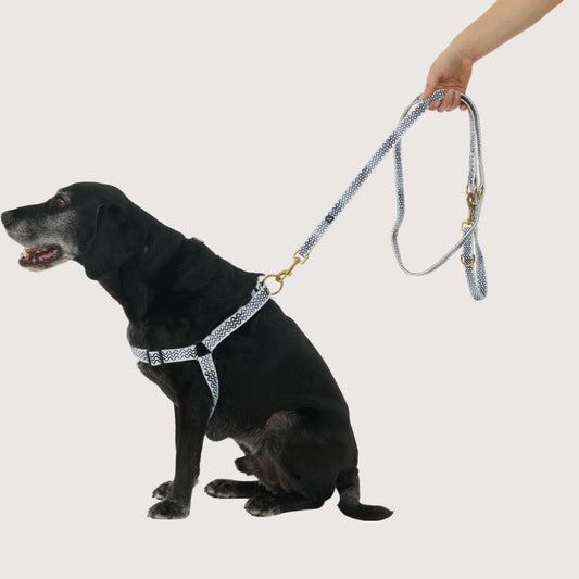 Hemp Dog Lead - Multi Function with Leather & Brass Fittings  - Black Wave