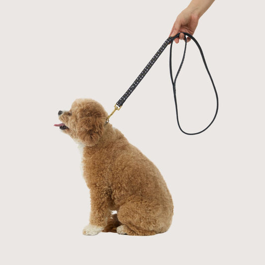 Neoprene Dog Lead -  Black Metallic Cross Print