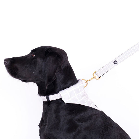 Neoprene Dog Lead - Grey Check Print