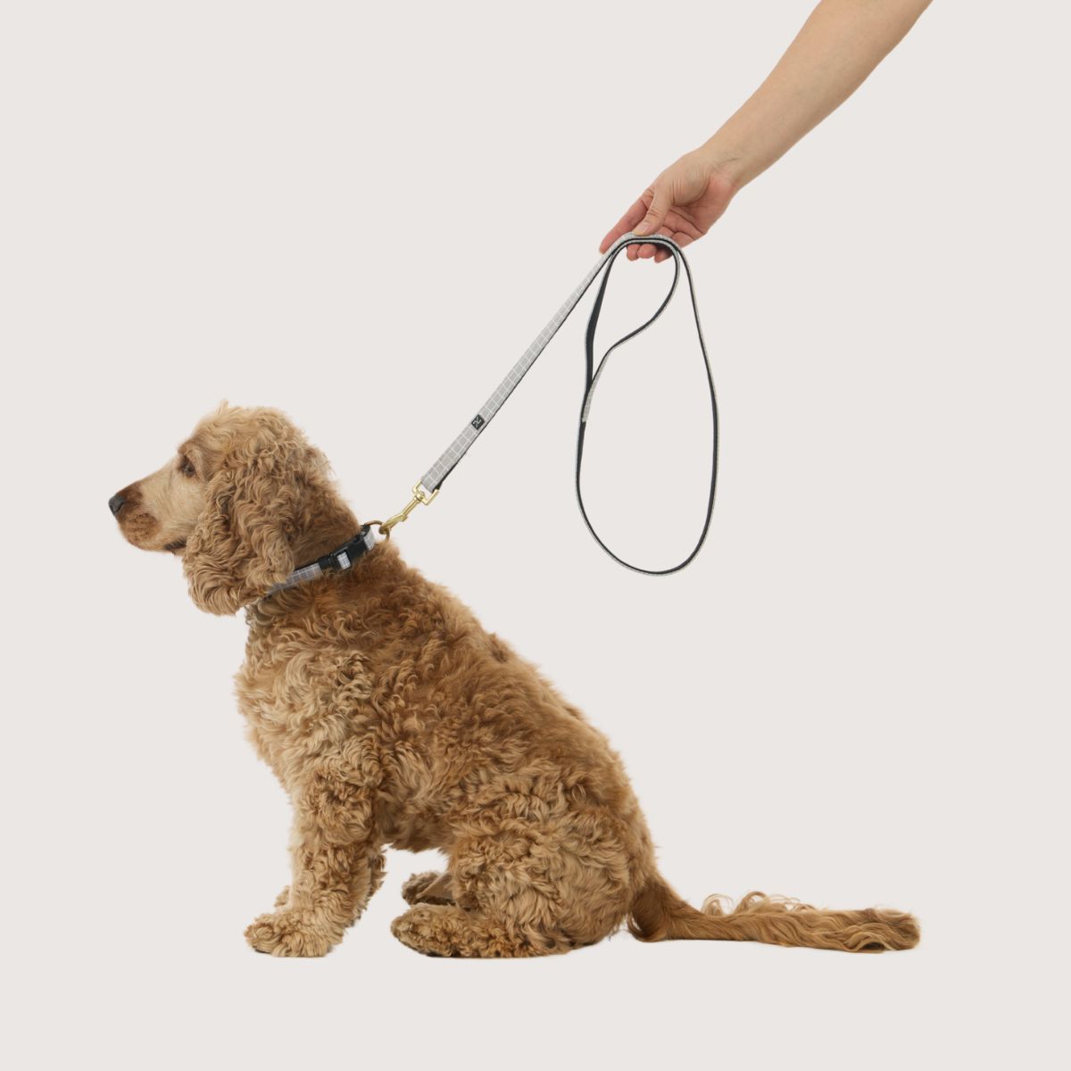 Neoprene Dog Lead - Grey Check Print
