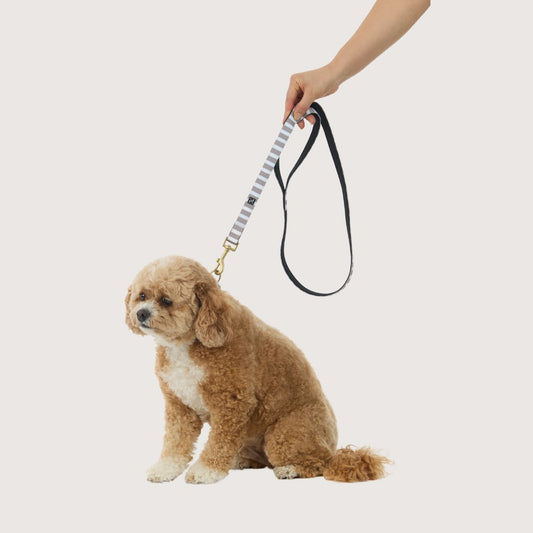Neoprene Dog Lead - Latte Hamptons Stripe Print