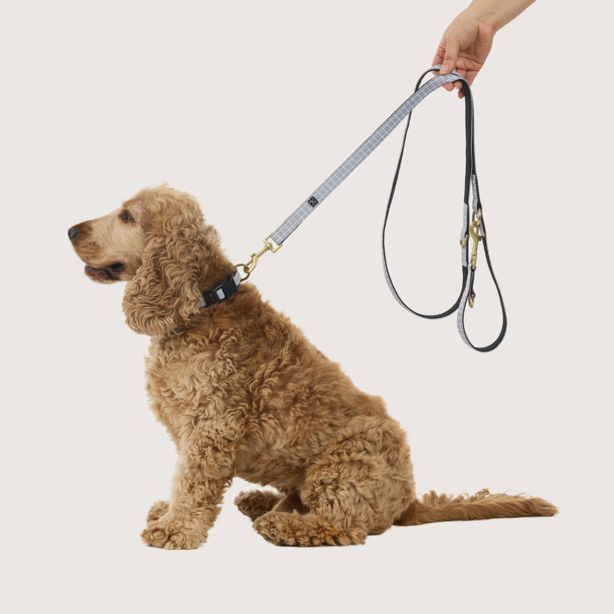 Neoprene Dog Lead - Multi Function with Brass Fittings- Grey Check Print