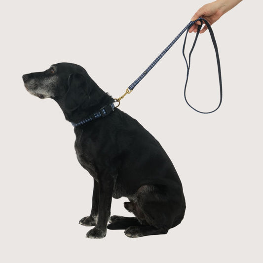 Neoprene Dog Lead - Navy Check Print