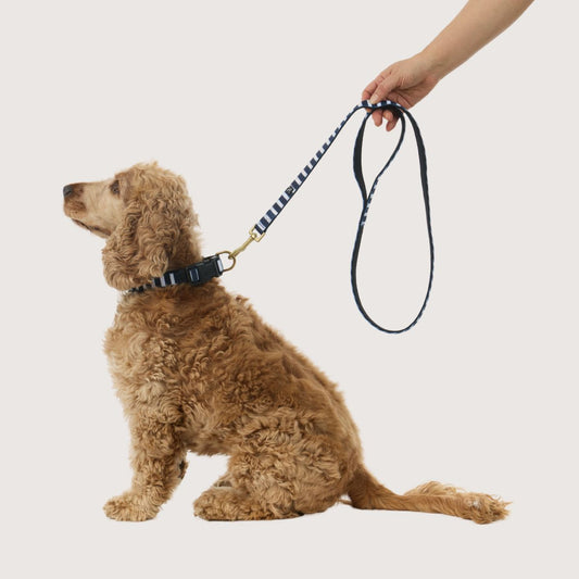 Neoprene Dog Lead - Navy Hamptons Stripe Print