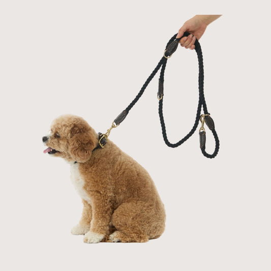 Rope Dog Lead (1.8m) - Multi Function with Leather & Brass Fittings - Black