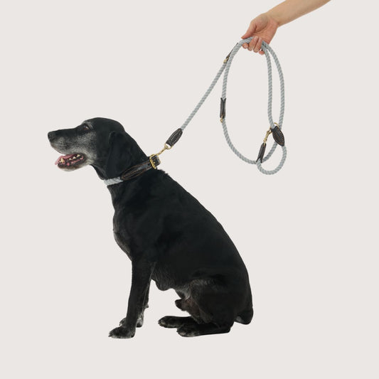 Rope Dog Lead (1.8m) - Multi Function with Leather & Brass Fittings - Grey