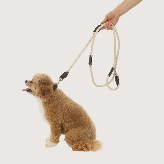 Rope Dog Lead (1.8m) - Multi Function with Leather & Brass Fittings - Natural
