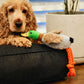 Toy - Fifi the Flying Duck