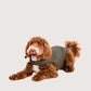 Dog Puffer Jacket- Green