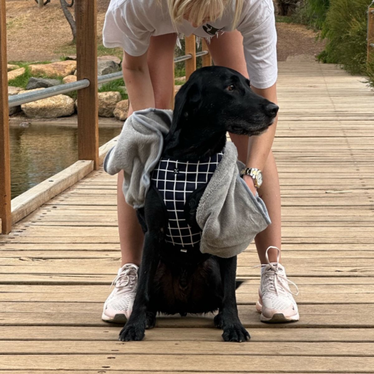 Person holding a black dog wrapped in a towel on a wooden dock by a body of water.