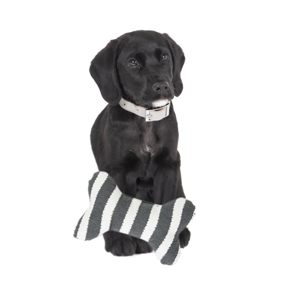 Toy - Bone Shape, soft - Charcoal Hamptons Stripe