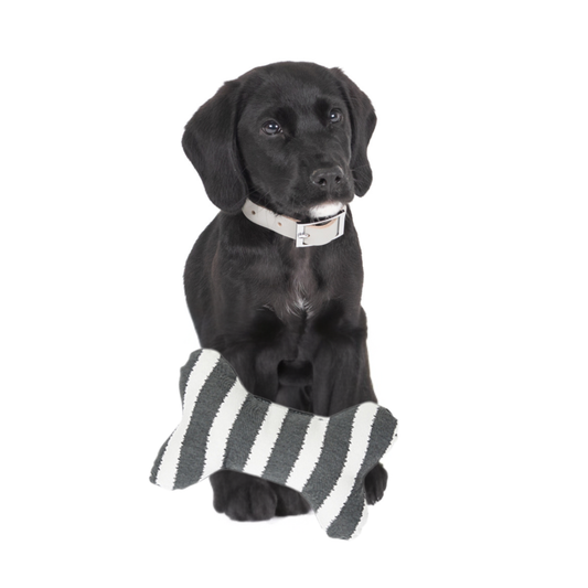 Toy - Bone Shape, soft - Charcoal Hamptons Stripe