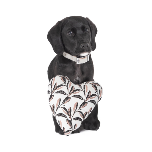 Black dog holding a leaf-patterned toy on a white background