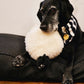 Toy - Sherry the Sheep