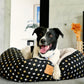 4 Seasons Reversible Circular Dog Bed - Black Metallic Cross Print