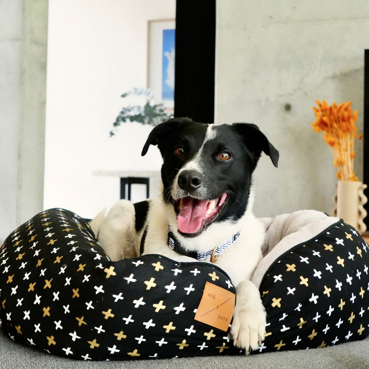 4 Seasons Reversible Circular Dog Bed - Black Metallic Cross Print