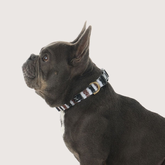Hemp Dog Collar - Black Cocoa Artisan Print