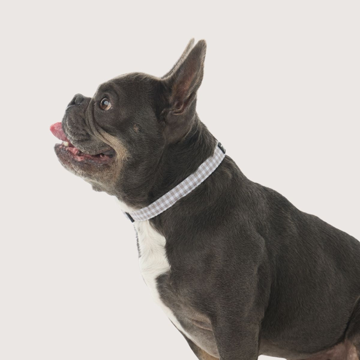 Collars