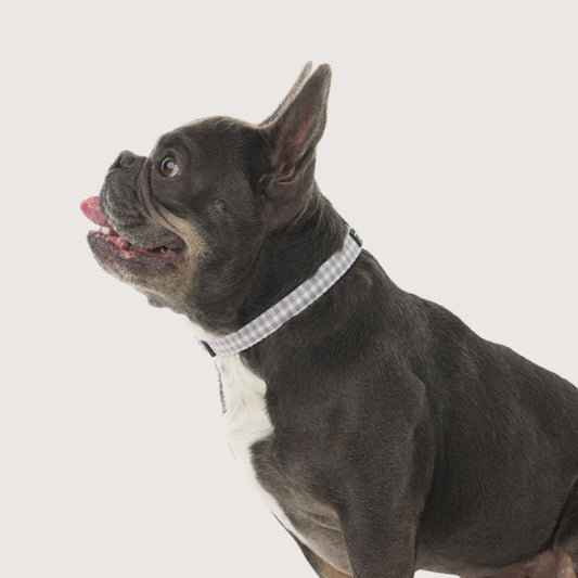 Hemp Dog Collar - Mocha Gingham Print