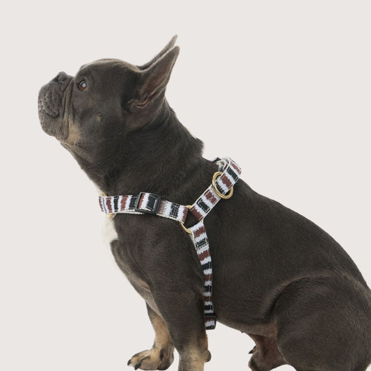 Hemp Dog Harness - Black/ Cocoa Artisan Print
