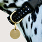 Solid Brass ID Tag