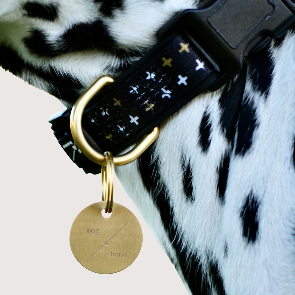 Solid Brass ID Tag
