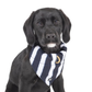 Dog Bandana - Navy Hamptons Stripe Print