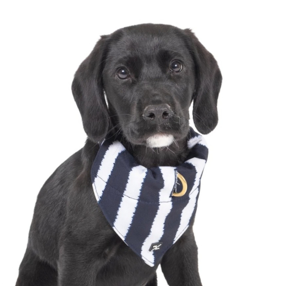 Dog Bandana - Navy Hamptons Stripe Print