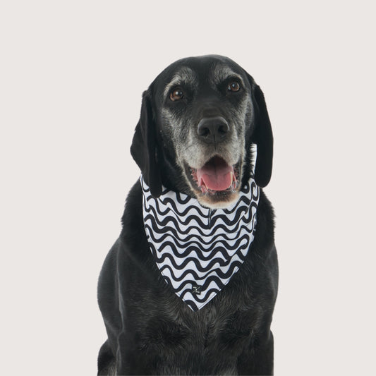 Dog Bandana - Black Wave Print