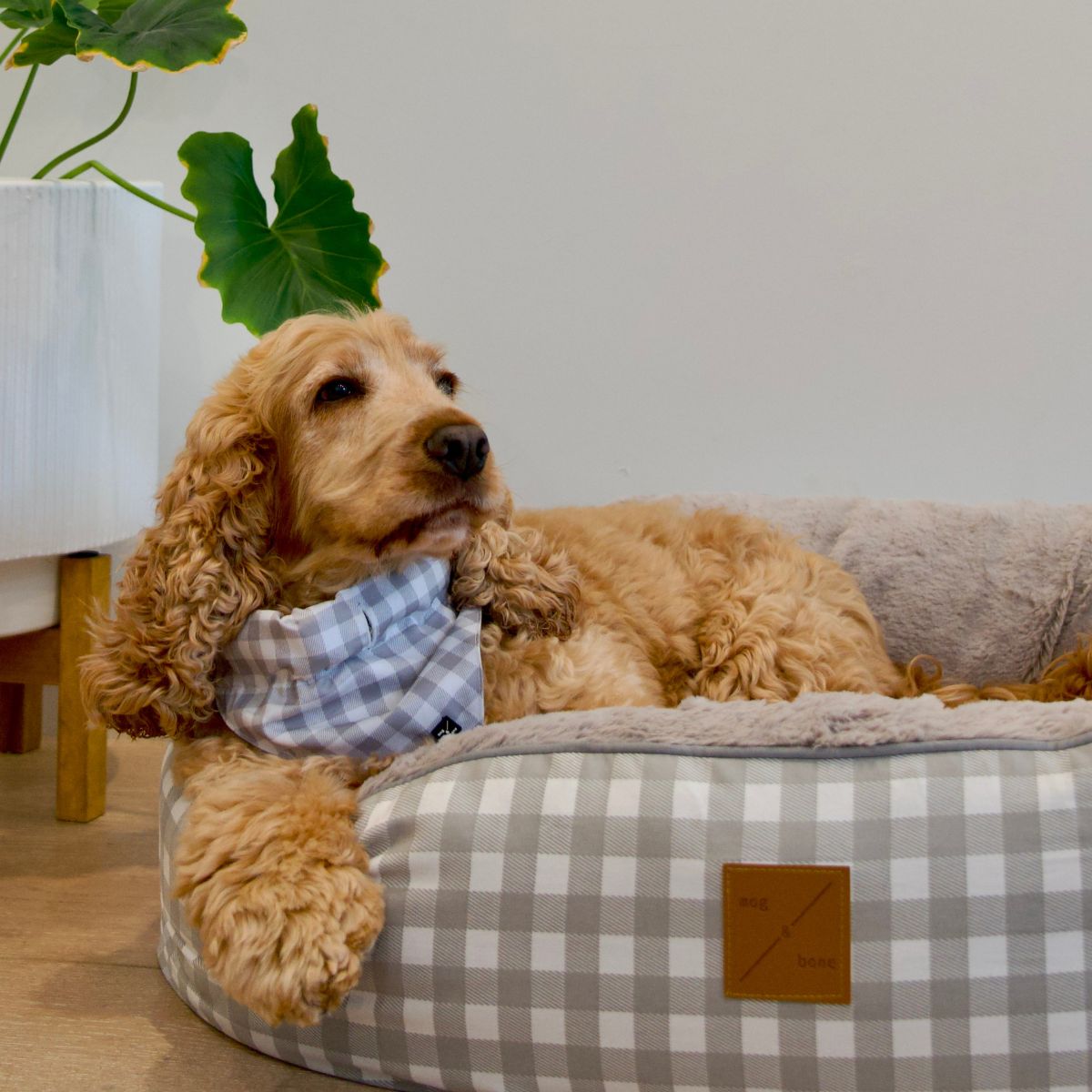 Dog Bandana - Grey Gingham Print