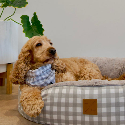 Dog Bandana - Grey Gingham Print