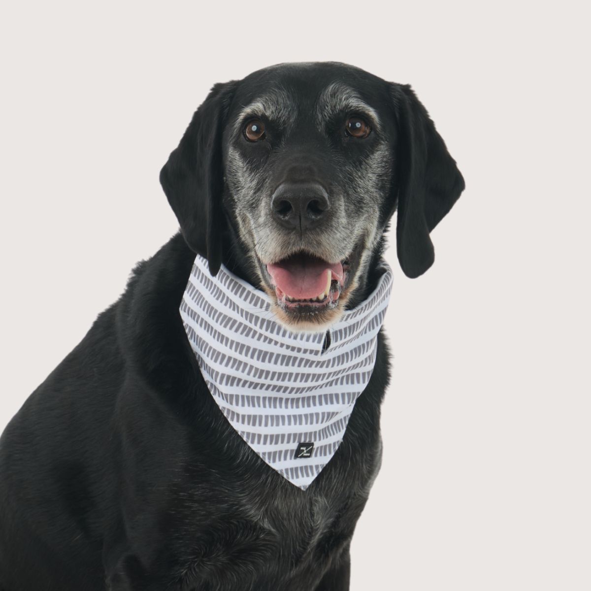 Dog Bandana - Latte Mosaic Print