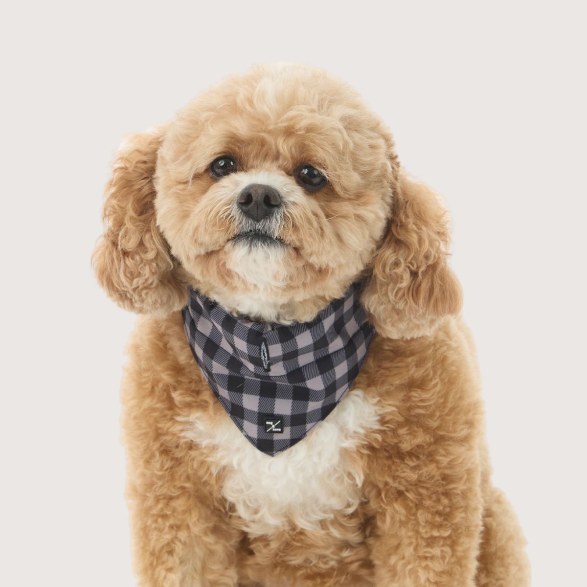 Dog Bandana - Mocha/ Black Gingham Print
