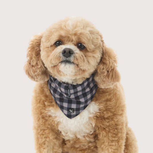 Dog Bandana - Mocha/ Black Gingham Print