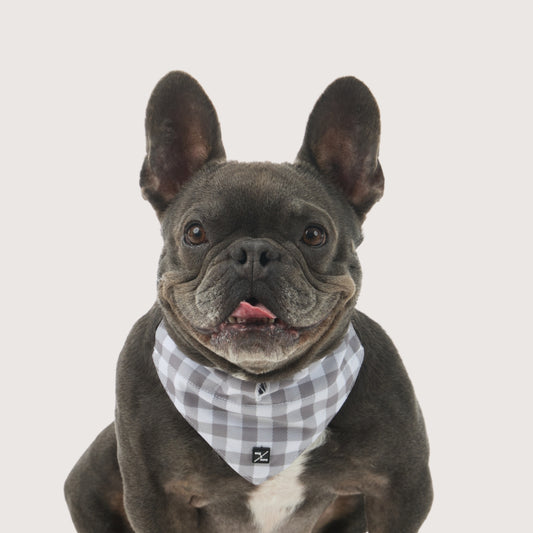 Dog Bandana - Mocha Gingham Print