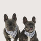 Dog Bandana - Mocha Gingham Print