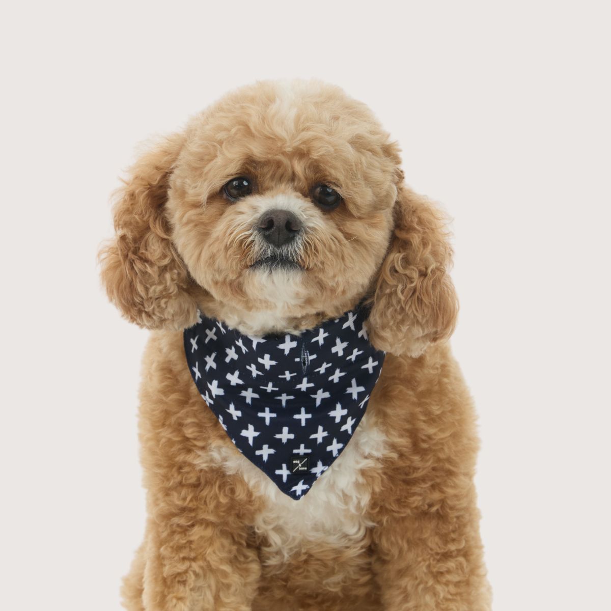 Dog Bandana - Navy Cross Print