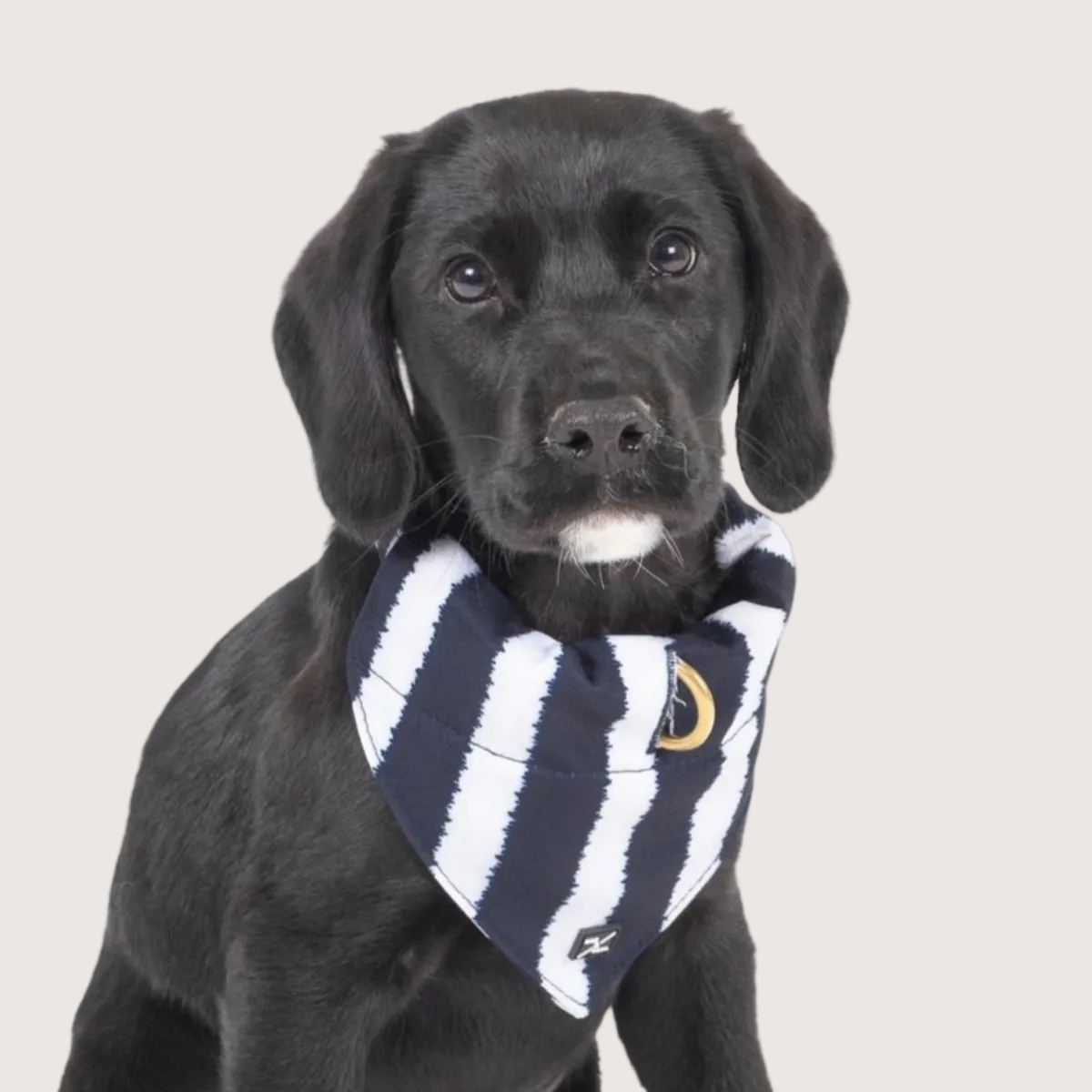 Dog Bandana - Navy Hamptons Stripe Print
