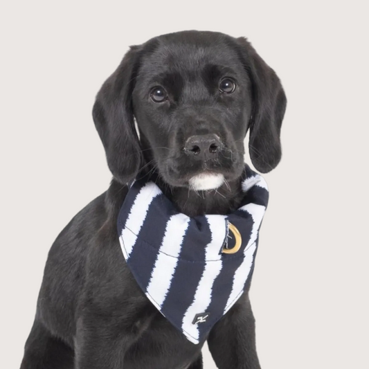 Dog Bandana - Navy Hamptons Stripe Print