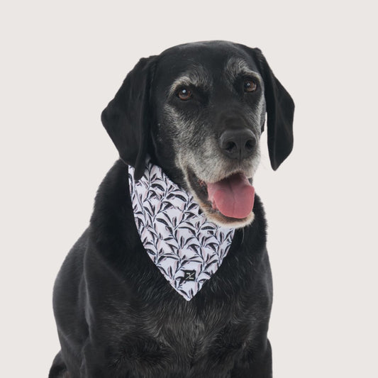 Dog Bandana - Shadow Quartz