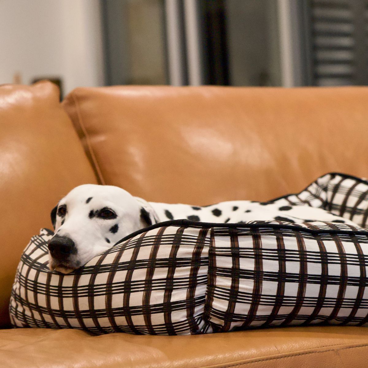 Bolster Dog Bed - Cocoa/ Black Plaid Print