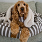 Bolster Dog Bed  - Latte Hampton Stripe Print