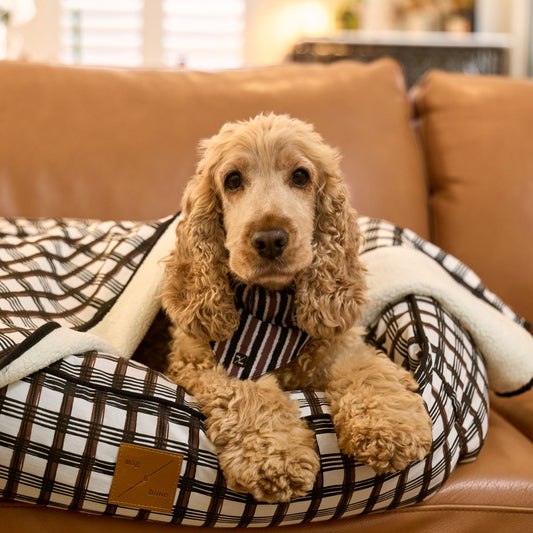 Pet Blanket with Fleece - Cocoa/ Black Plaid Print