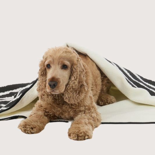 Pet Blanket with Fleece - Black Artisan Print