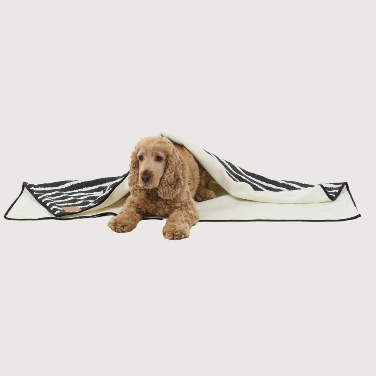 Pet Blanket with Fleece - Black Artisan Print
