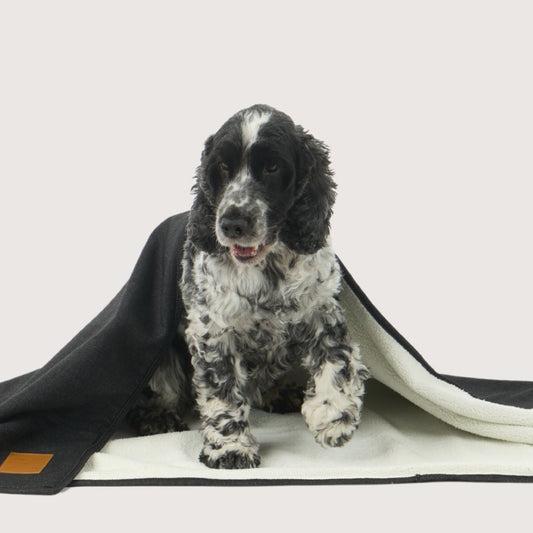 Pet Blanket with Fleece - Black Denim