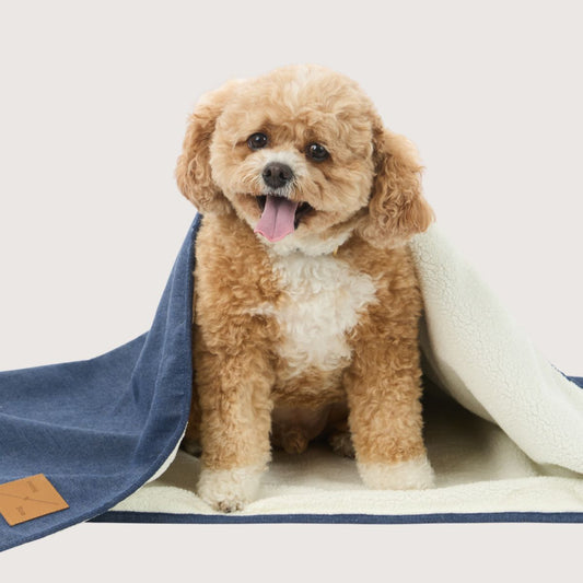 Pet Blanket with Fleece - Blue Denim