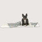Pet Blanket with Fleece - Charcoal Hamptons Stripe Print