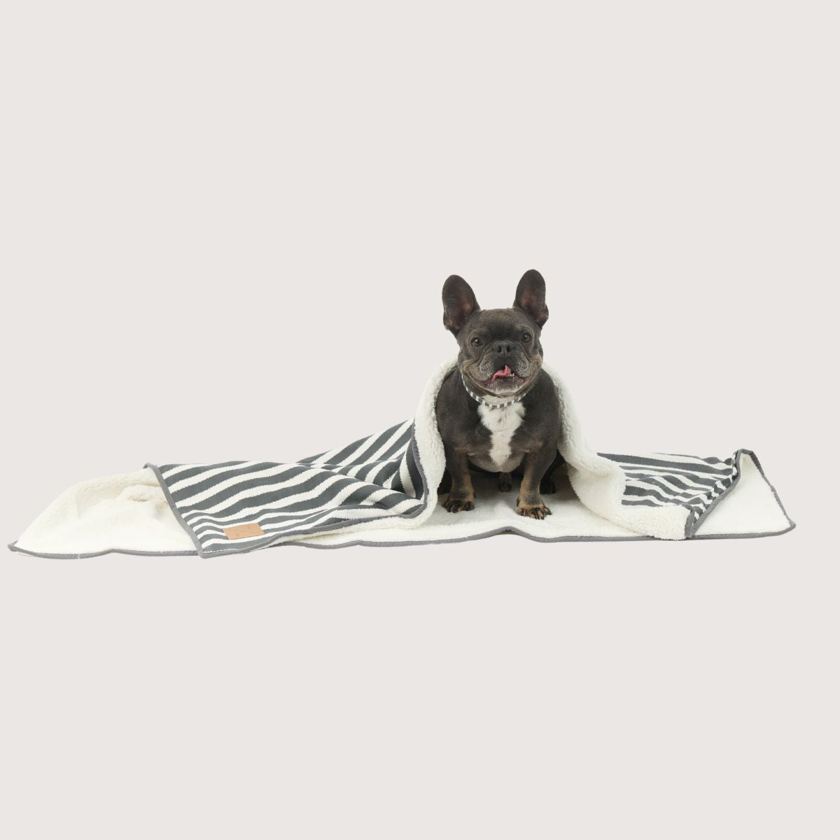 Pet Blanket with Fleece - Charcoal Hamptons Stripe Print