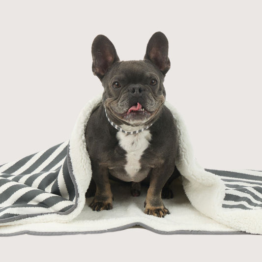 Pet Blanket with Fleece - Charcoal Hamptons Stripe Print